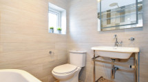 19 bathroom view 2