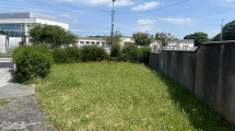Side Garden
