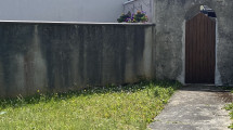 Side Garden 3